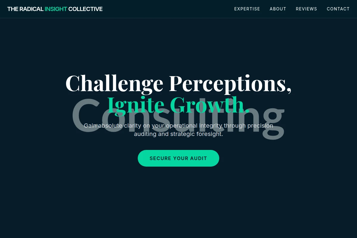 Audit Consulting
